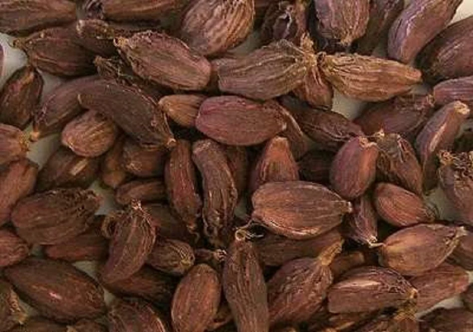 अलैँचीको निर्यात ह्वात्तै बढ्यो