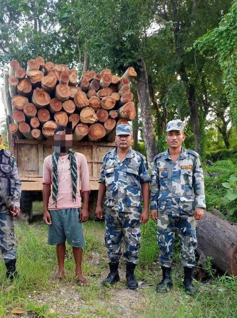 दाउरा लोड गरिएको ट्याक्टरसहित चालक नियन्त्रणमा