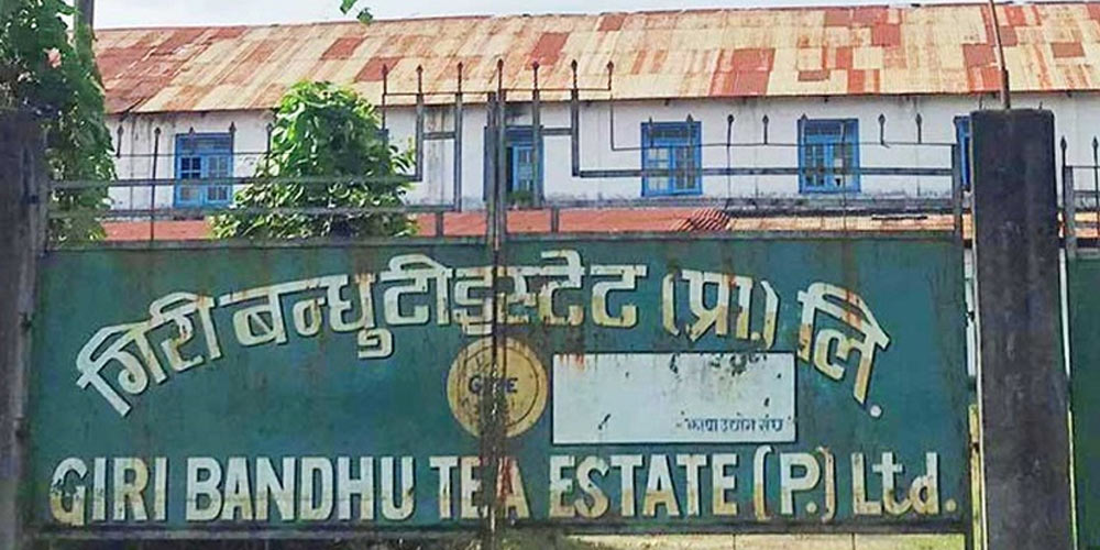 गिरीबन्धुको जग्गा सरकारी होइन, निजी सम्पत्तिलाई राजनीतिकरण गरी विवाद उत्पन्न गराएको हो : सञ्चालक गिरी