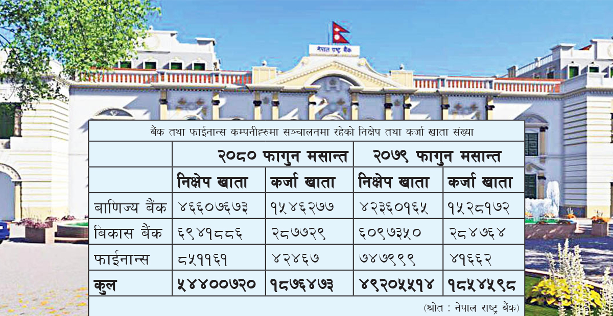 निक्षेपको संख्या झण्डै ६ करोड, कर्जा खाताको संख्या कति ?