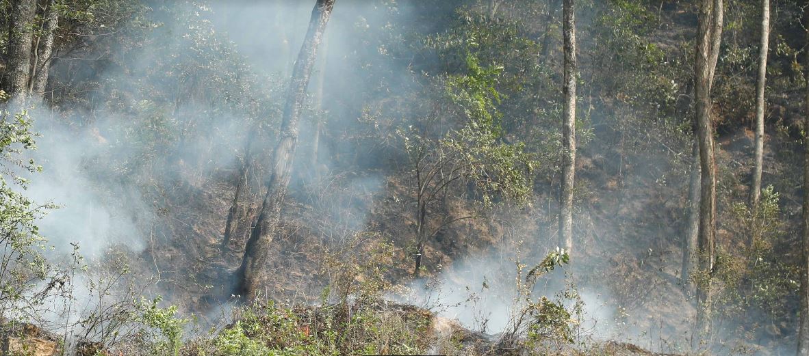 ललितपुरमा डढेलो निभाउने क्रममा घाइते अर्का एक जनाको पनि मृत्यु