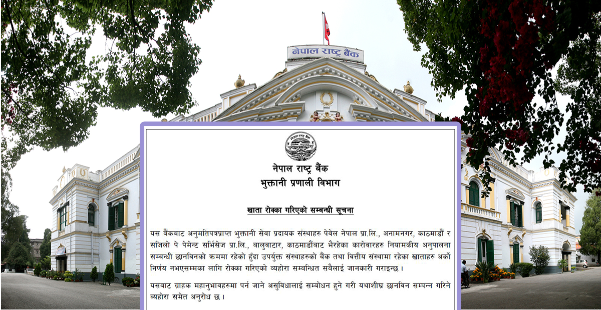राष्ट्र बैकद्धारा दुई वटा भुक्तानी प्रदायक कम्पनीको खाता रोक्का