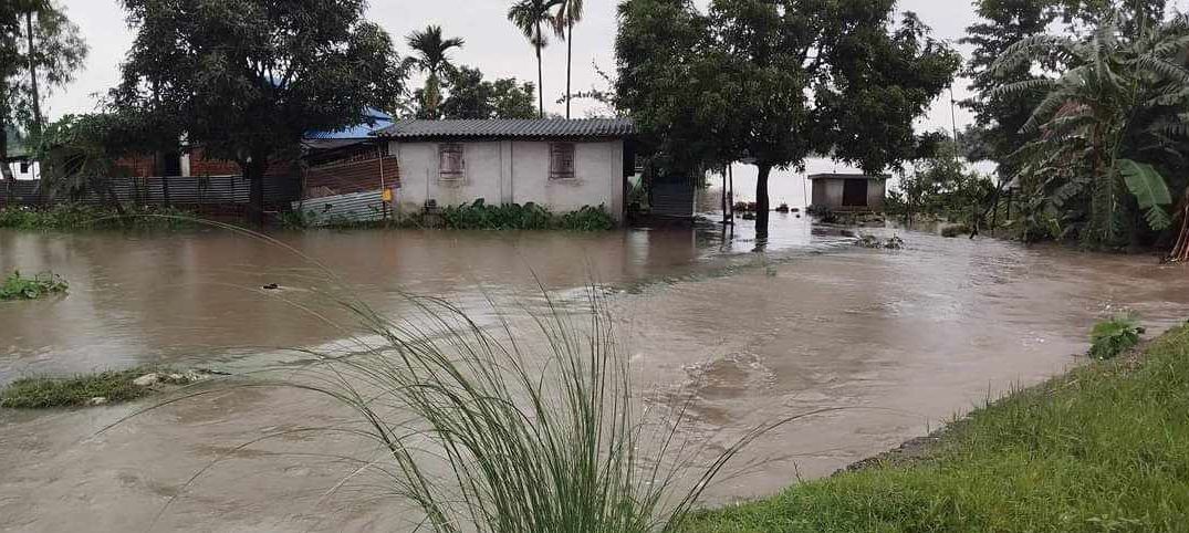 वर्षायाम प्रारम्भ भएसँगै गौरीगञ्जवासीमा बाढीको त्रास
