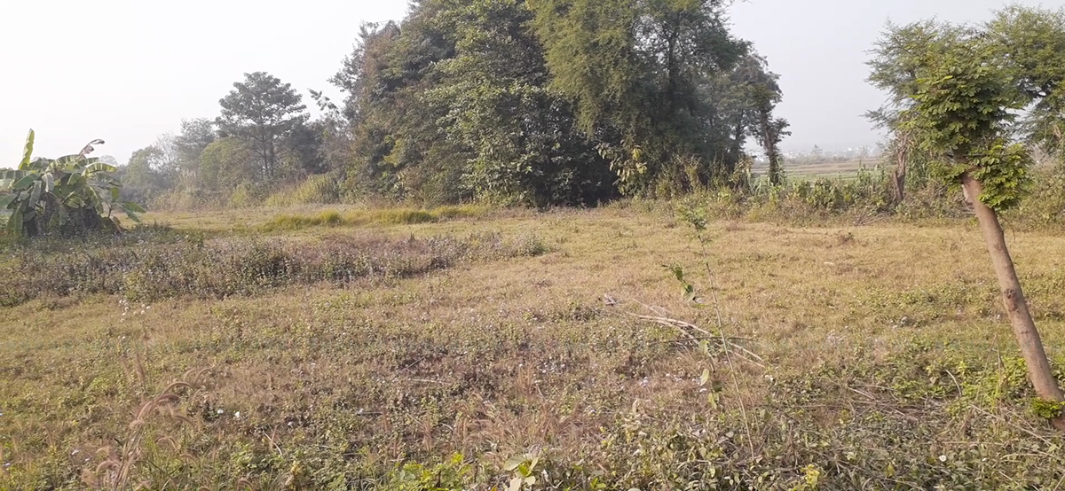 राजनीतिक दलका कारण खेतीयोग्य जमिन सखाप