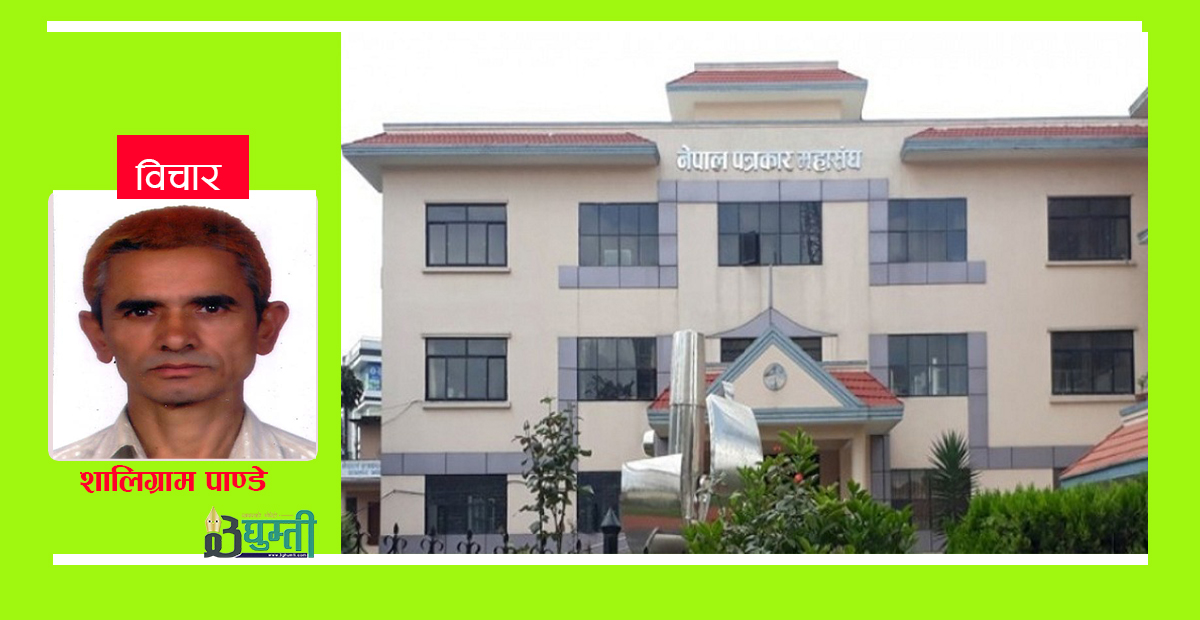 भनाइ पत्रकारको निर्वाचन, गराइ राजनीतिक स्वार्थसिद्धिको खेल
