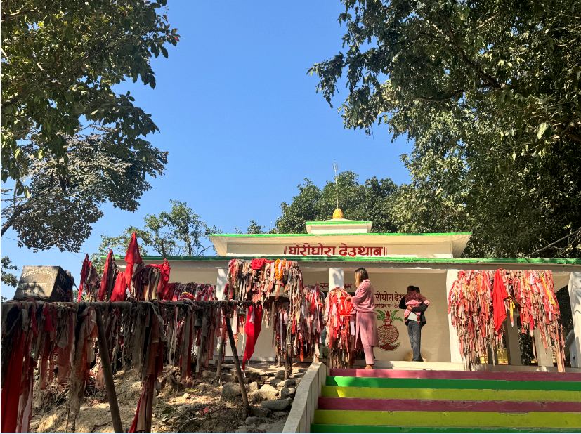 कैलालीका थारू समुदाय लवाङ्गी पूजामा रमाउँदै