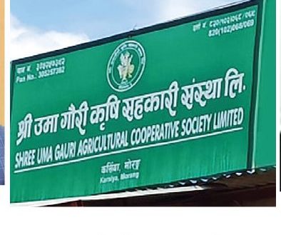 सहकारी ठगीको आरोपमा लेखा समिति सभापतिकी पत्नी अञ्जलासहित २६ जनाविरुद्ध मुद्दा