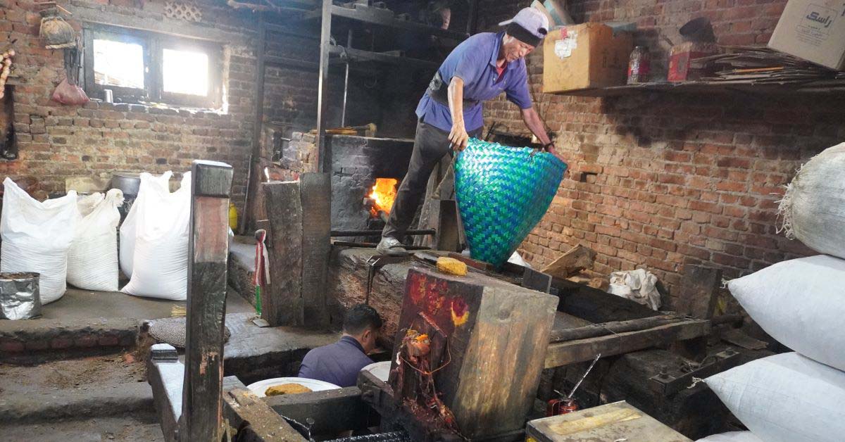 खोकनामा अझै पेलिन्छ शुद्ध तोरीको तेलः तीन सय वर्षे काठको कोलले जोगाइरहेको परम्परा