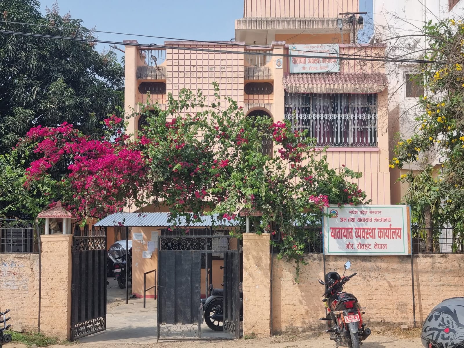 गौर यातायात कार्यलयबाट एक जना बिचौलिया पक्राउ