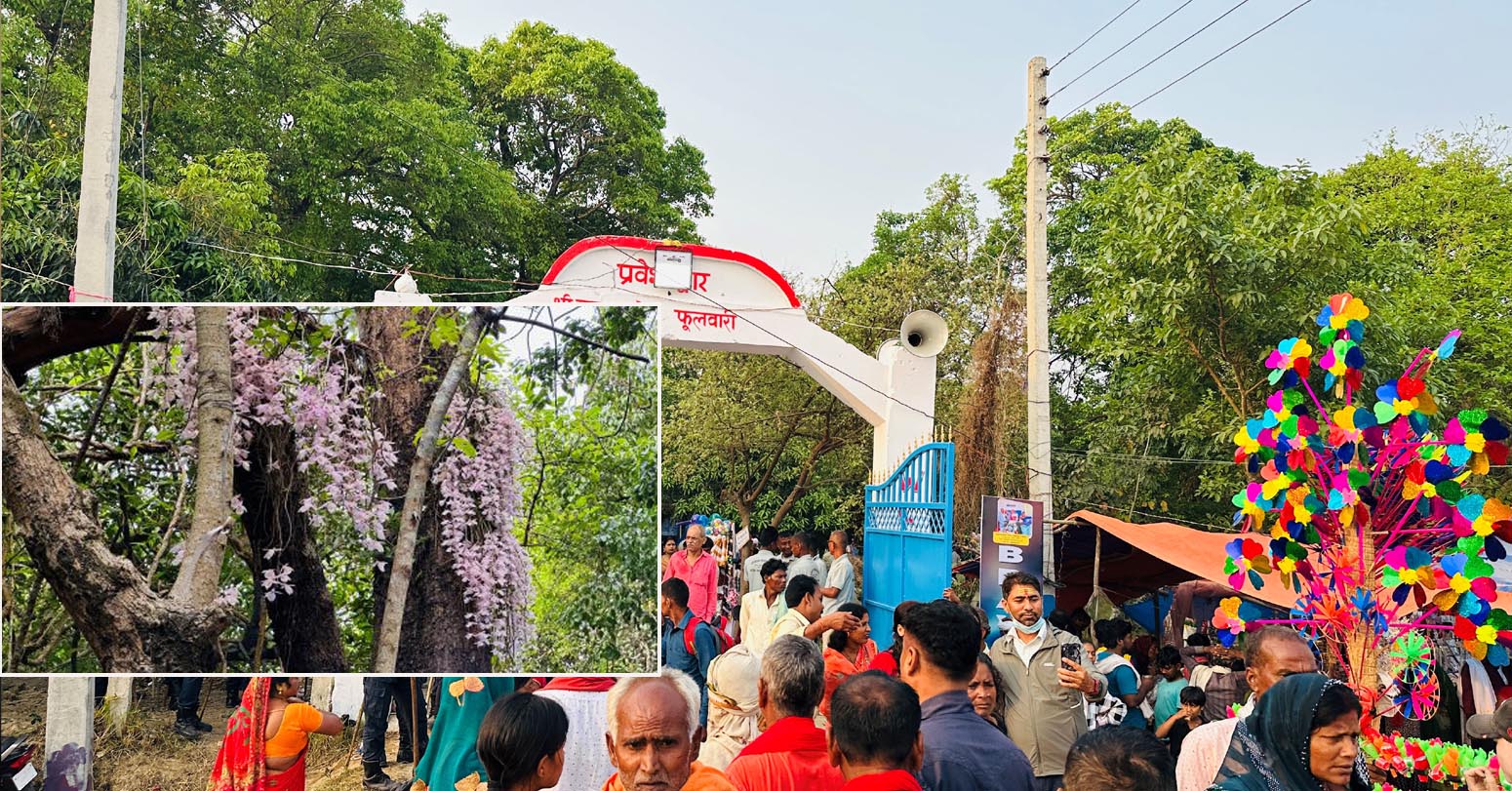 सलहेश फूलबारीमा नयाँ वर्ष मेला: सुनाखरी फूल हेर्न श्रद्धालुको घुइँचो