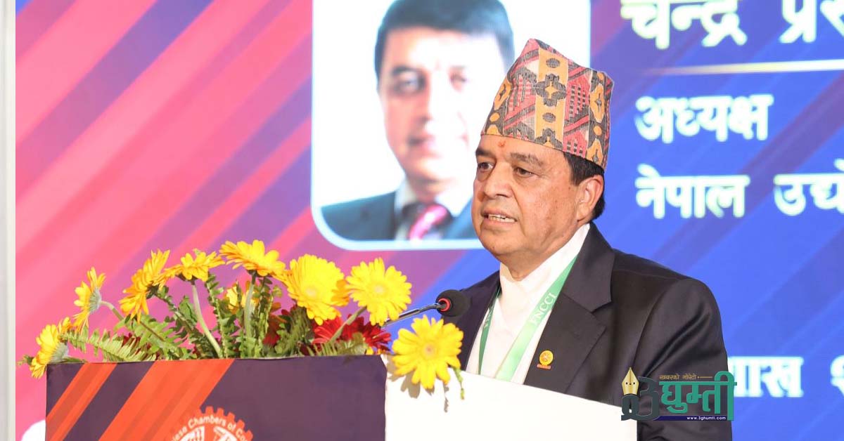 दोस्रो चरणको आर्थिक सुधारमार्फत रूपान्तरण तीव्र बनाउनुपर्नेमा अध्यक्ष ढकालकाे जोड