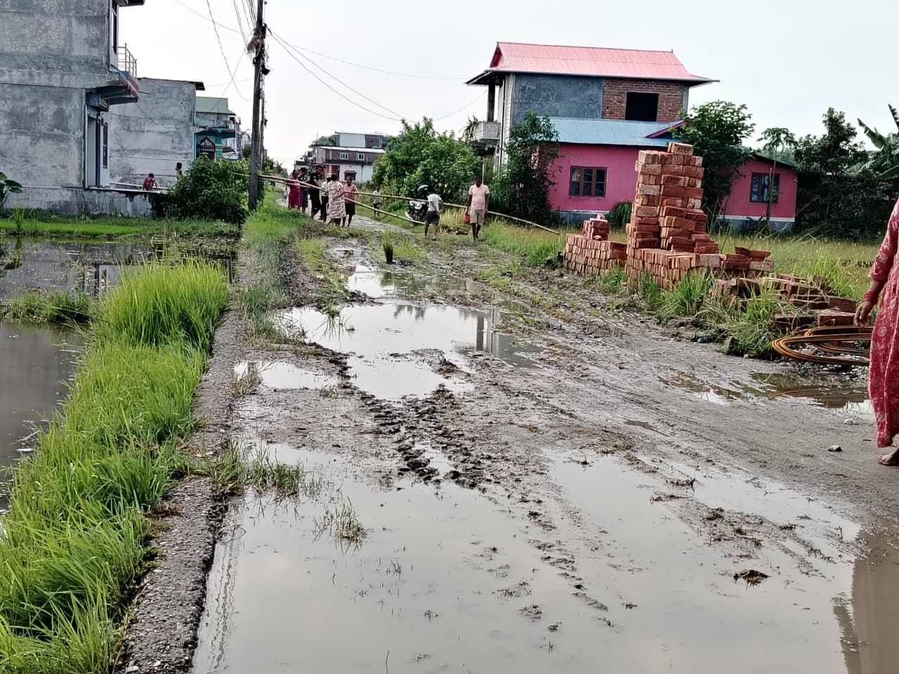 वर्षामा सडकको सास्ती, स्थानीयले गरे सडकमै रोपाईं