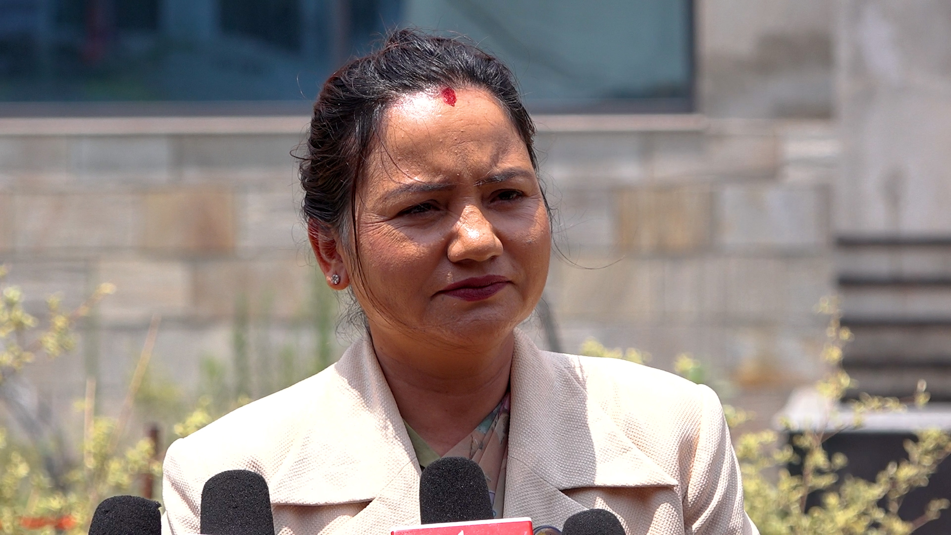 बजेट तथा नीति कार्यान्वयनमा नयाँपन छैन् : प्रमुख सचेतक थापा 