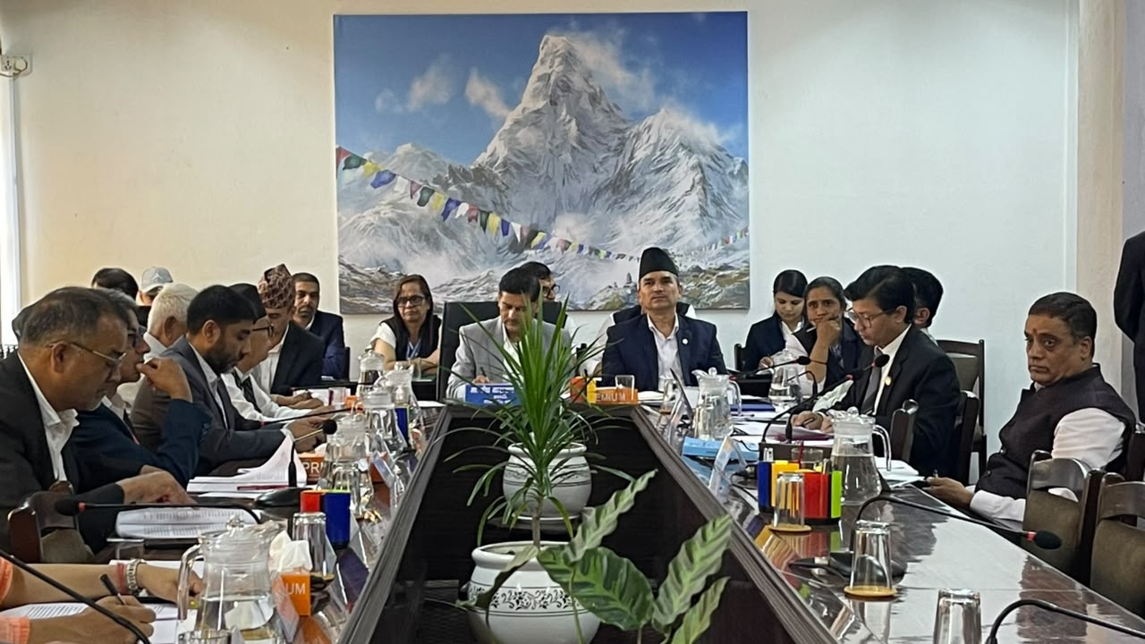 संसदीय सुनुवाइमा उजुरीकर्तामाथि सांसदहरूको प्रश्न ; ‘दरपीठपछि के गर्नुभयो ?’