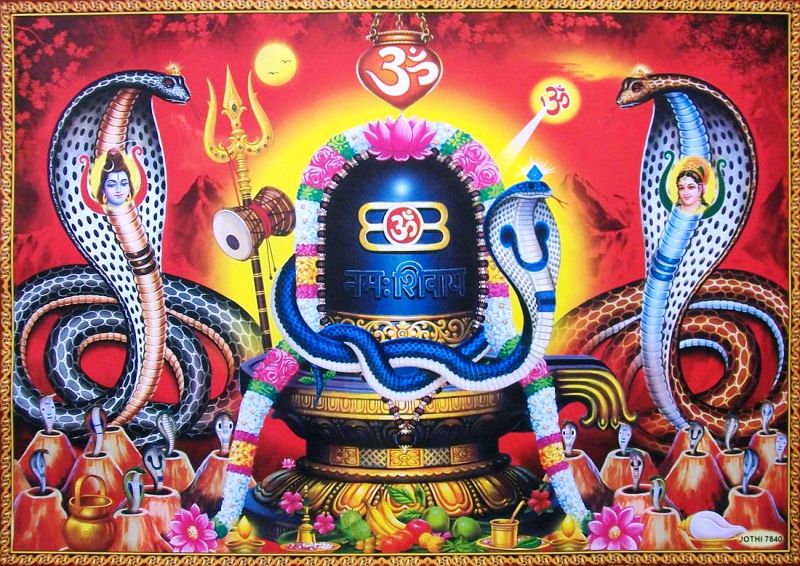 नागपञ्चमी पर्व आज, घरघरमा नागको पूजा र तस्वीर टाँसिँदै