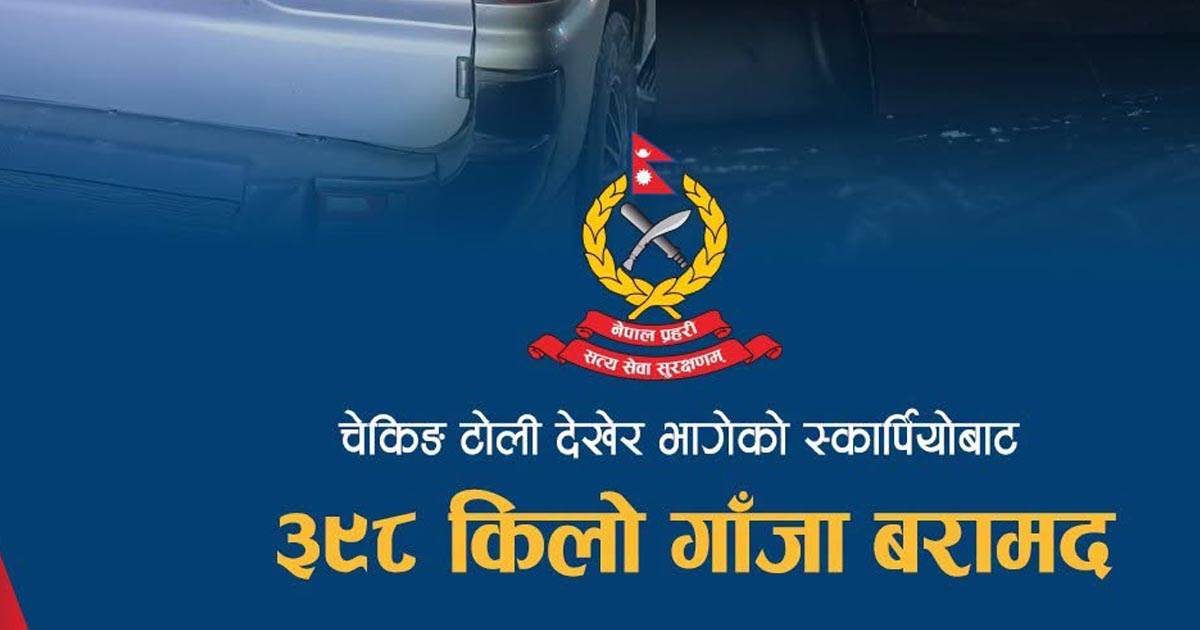 चेकिङ टोली देखेर भागेको स्कार्पियोबाट ३९८ किलो गाँजा बरामद